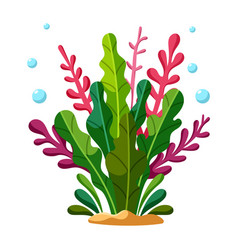 Colorful Sea Plants