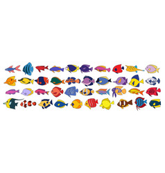 Tropical Fish Collection Iconcolor