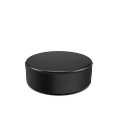 Realistic Ice Hockey Puck Isolated 3d Disk