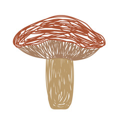 Mushroom Boletus Edulis Hand Drawn