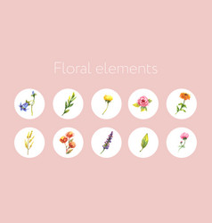 Set Spring Flowers Template For Instagram Post