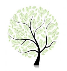 Spring tree green with birds for your design Vector Image