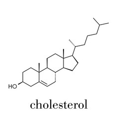 Cholesterol Molecule Essential Component Of Cell