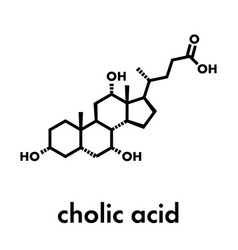 Cholic Acid Cholate Molecule Main Bile Acid