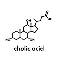 Bile Acid Cholic Acid Cholate Molecule Cholic