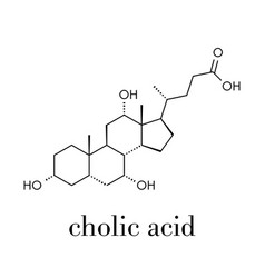 Cholic Acid Cholate Molecule Main Bile Acid