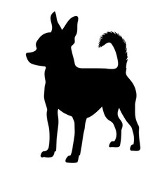 Chihuahua Dog Silhouette Icon Symbol