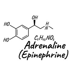 Human Hormone Adrenaline Epinephrine Concept