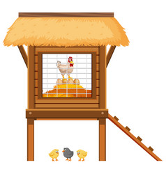 Chicken Coop With Chickens And Eggs Inside