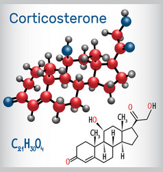 Corticosterone Steroid Hormone - Molecule Model