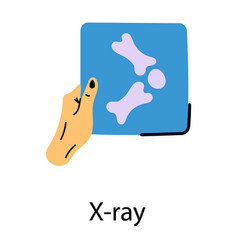 X Ray