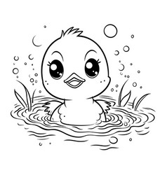 Cute Baby Duck Swims In The Water