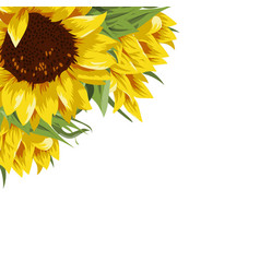 Sunflower Card