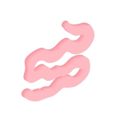 Small Intestine Isometric 3d Icon