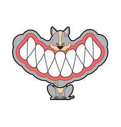 Little Angry Dog With Big Teeth Small Pet Teeth