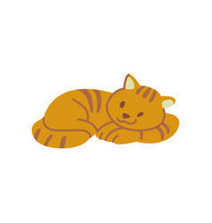 Cat paws Royalty Free Vector Image - VectorStock