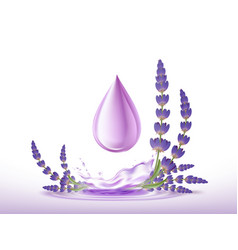 Drop Of Lavender Essential Oil With Flowers