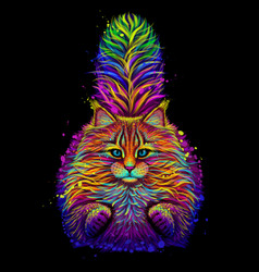 Cat Abstract Multicolored Image