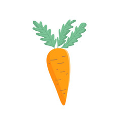 Organic Food Cute Carrot Icon Isolated On White