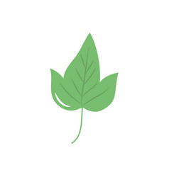 Sycamore Leaf Icon Flat Style