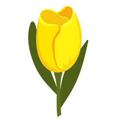 Yellow Flower Icon