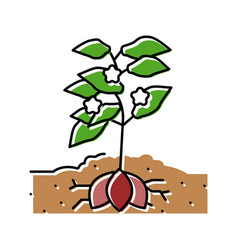 Plant Sweet Potato Color Icon