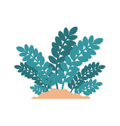 Cartoon Plant Minimalistic Zamioculcas Growing In