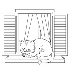 Cat Sleeping On A Window Sill