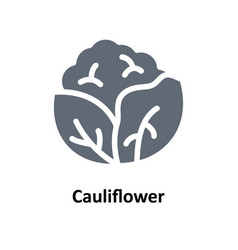 Cauliflower Solid Icons Simple Stock Il