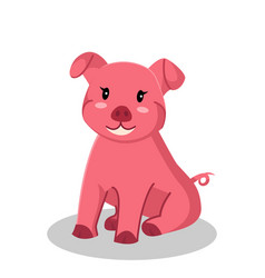 Cute Pig Character Design