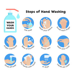 Hand Washing Steps Infographic Hand Washing Vector Image