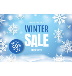 Winter Sale Banner With Text