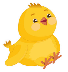 Funny Curious Yellow Chicken Cute Bird With Rosy