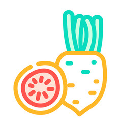 Watermelon Radish Color Icon