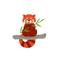 Red Panda Cartoon Character Eating Bamboo Flat