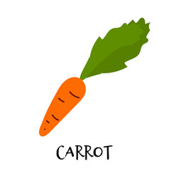 Carrot With Green Leaves In Hand Drawn Flat Style