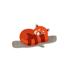 Cute Red Panda Sleeping On Bamboo Tree Cartoon