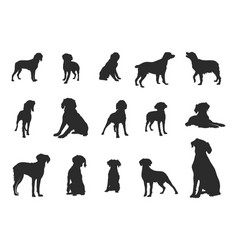 Brittany Spaniel Silhouette Dog Clipart