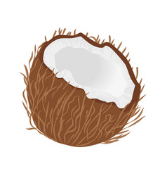 Half Coconut With Skin And White Flesh Cracked