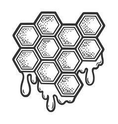 Honeycomb With Honey Sketch