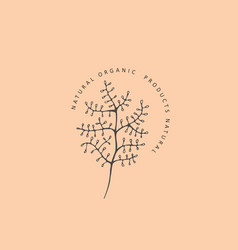 Minimal Feminine Floral Monogram And Logo Hand