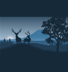 Animal Silhouettedeer Walking Standing On A Hill