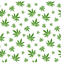 Cannabis Marijuana Is A Sheet Of Seamless