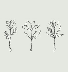 Wildflower Line Art Bundle