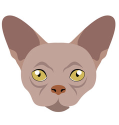 Donskoy Cat Avatar Breeds