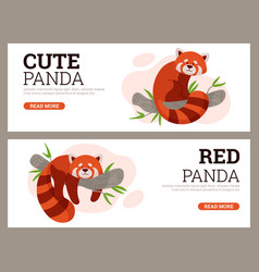 Horizontal Banners Or Flyers With Red Panda