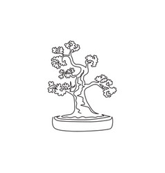 Bonsai tree Royalty Free Vector Image - VectorStock