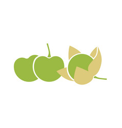 Green Tomatillo Fruits Flat