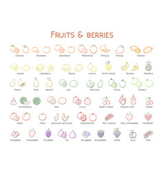 Outline Colorful Linear Web Icon Set - Fruit Amp