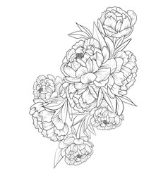 Tattoo Design Blossom Peony Flowers Drawing